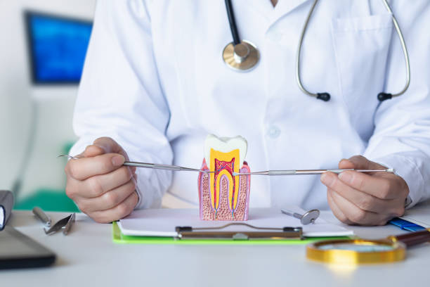 Best Same-Day Emergency Dental Services in Warrensburg, IL